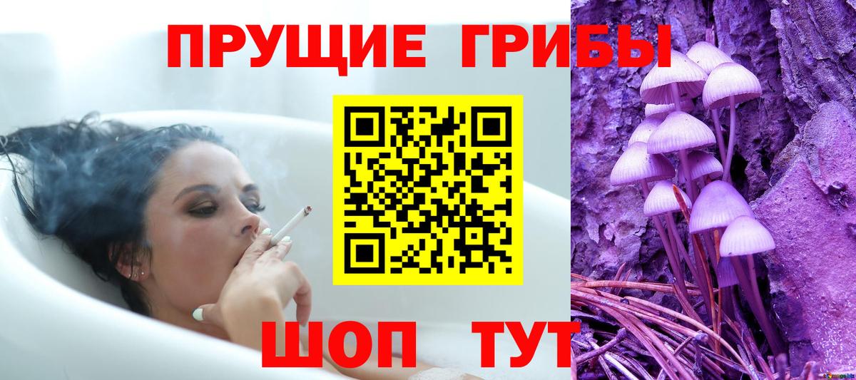 Псилоцибиновые грибы MAGIC MUSHROOMS  Псилоцибиновые грибы Psilocybine cubensis  Малгобек  Вход с VPN 